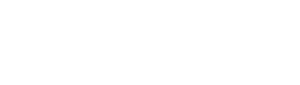 Bravax Protege